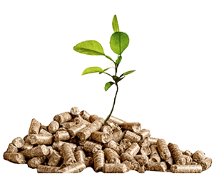 Pellets aus der Region – komfortabel und regenerativ